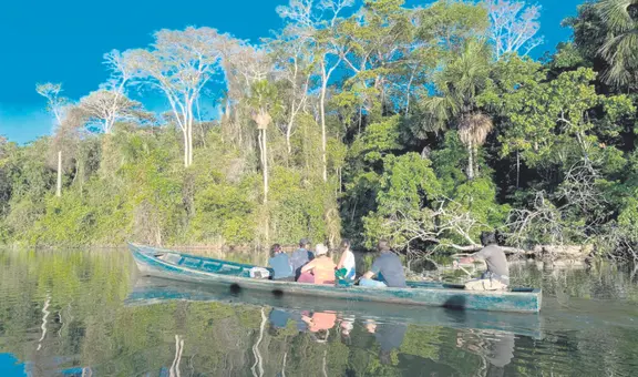 Destinan US$1,2 millones para conservación de la Amazonía