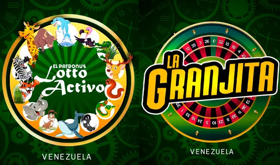 Lotto Activo y La Granjita EN VIVO: resultados de HOY, 26 de noviembre