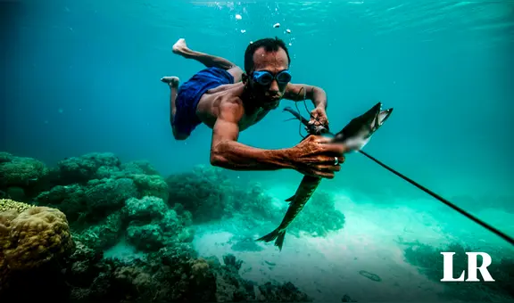 Los Bajau: evolucionaron para resistir hasta 13 minutos bajo el mar y sumergirse 60 metros