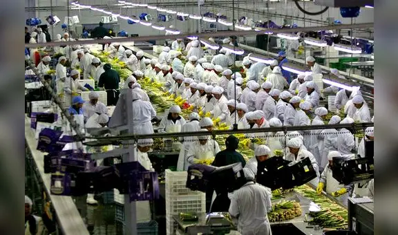 Midagri: 8 regiones incrementaron sus agroexportaciones hasta setiembre