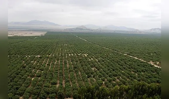 En enero de 2024 se sabrá qué país ejecutará obras de III etapa de Chavimochic