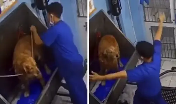 Joven venezolano se vuelve viral al bailar con perrito: "Sacó los pasos prohibidos"