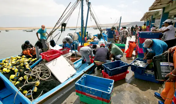 Construcción ilegal de embarcaciones amenaza la pesca artesanal en el Perú