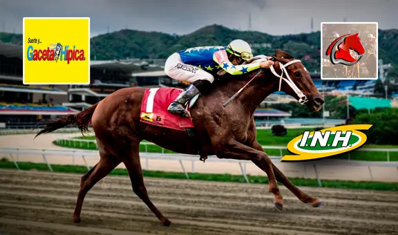 Traqueos y pronósticos 5y6 La Rinconada, 2 de diciembre: revisa AQUÍ los datos fijos de Fusión Hípica y Gaceta Hípica