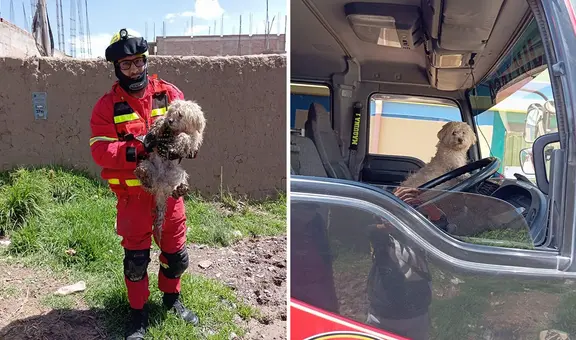 ¡Unos héroes! Bomberos rescatan a perro que estuvo atrapado en un pozo por 3 días en Puno