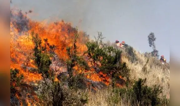 Sondor arde hace 16 días en Arequipa: 1.000 hectáreas destruidas y animales muertos