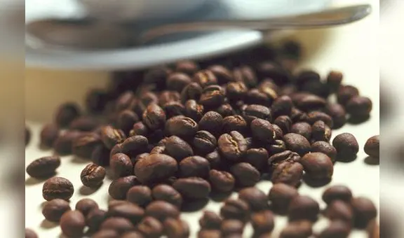 Expocafé 2023: logran compromisos de ventas por más de S/1 millón en Rueda de Negocios