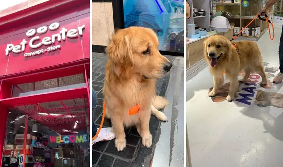 Llevó a su perro a bañar y se lo devuelven cojeando: joven denuncia a veterinaria de Jockey Plaza