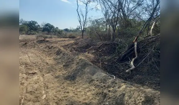 Lambayeque: denuncian atentado en zona arqueológica de Pacora