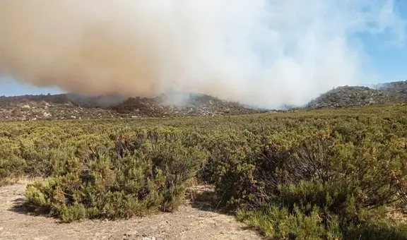 Incendios forestales causan graves daños en Arequipa y Moquegua