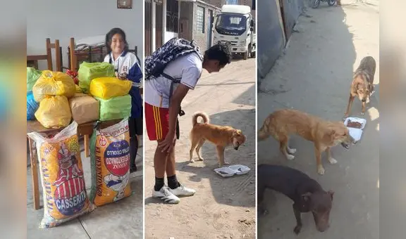 Escolares reciclan botellas y latas para costear curaciones y comida de animales callejeros en Trujillo