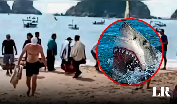 Tiburón muerde y mata a mujer un día después de su boda mientras practicaba deporte