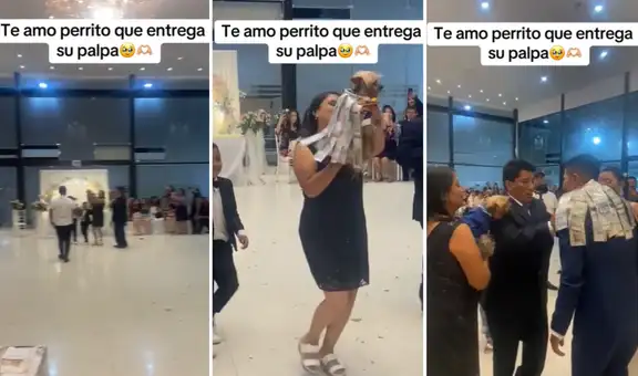 Perrito se roba el show en matrimonio huancaíno al entregar su palpa: “Al Firulais le sobra la plata”