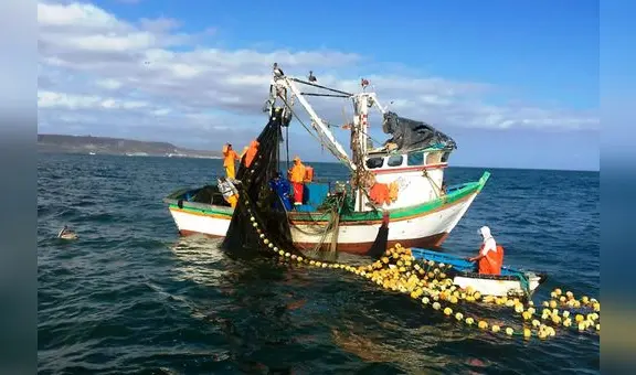 Mónica Saavedra Chumbe es la nueva jefa del Sanipes