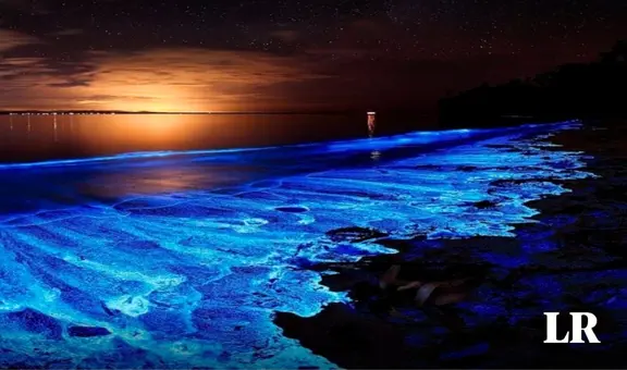 ¿Conoces la bioluminiscencia del mar?: esta playa de Sudamérica cuenta con esta maravilla natural