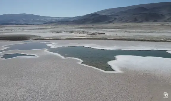 Laguna en desierto de Argentina albergaría seres vivos de hace 3.500 millones de años, según científicos