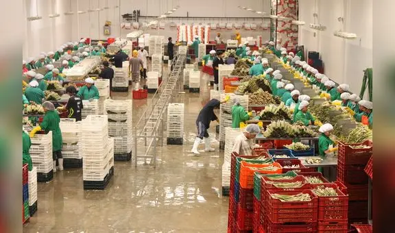 Adex: exportaciones peruanas a octubre sumaron más de US$52.000 millones