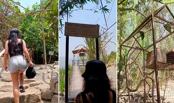 Peruana muestra ruta de la selva escondida en SJL y sorprende en redes: "¿Cómo llegar y cuánto cuesta?"