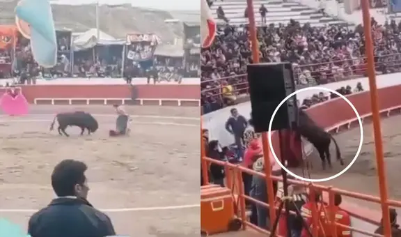 Toro se escapa del ruedo, se mete entre el público y ataca a hombre en Puno