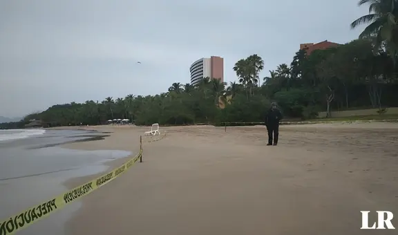 Turistas son atacados por tiburón y cocodrilo en México: 1 de ellos murió