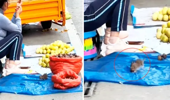 Rata sorprende a vendedora ambulante al llevarse su mercadería: “Llegó por su regalo de Navidad”