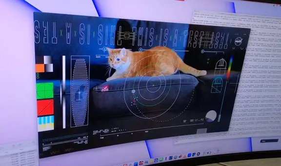 Video de un gato llega a la Tierra tras un viaje por el espacio de 30 millones de kilómetros