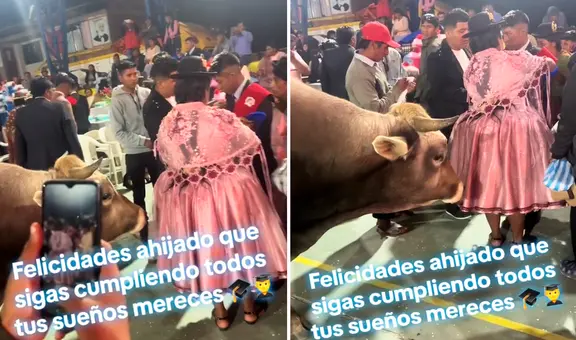 Mujer va a la fiesta de graduación de su ahijado y le lleva un toro de regalo: “Esa madrina vale oro”