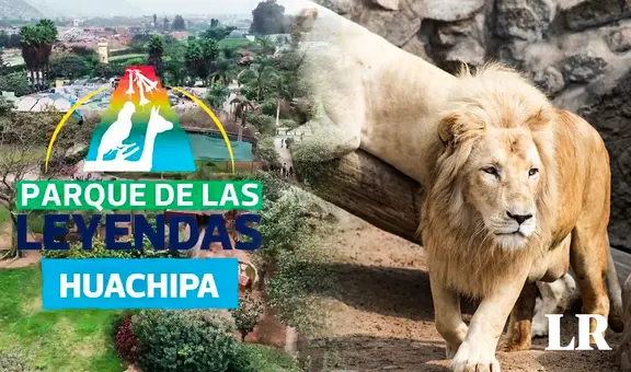 Parque de las Leyendas en Huachipa: conoce los horarios, precios y atractivos para el verano 2024