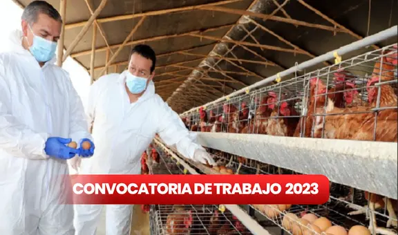 ¿Quieres cambiar de trabajo en 2024? Senasa ofrece EMPLEOS con sueldos de hasta S/5.500