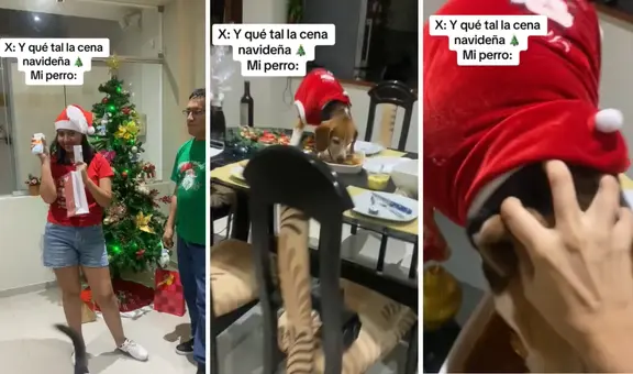 Perrito comió la cena de Navidad, mientras su familia hacia la entrega de regalos: "Salió premiado"