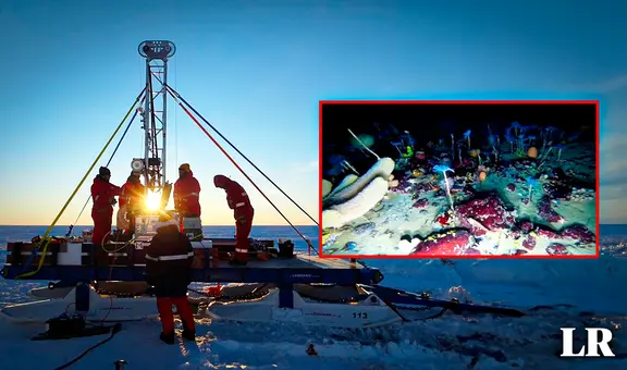 Los animales milenarios descubiertos a casi 200 metros bajo el hielo de la Antártida