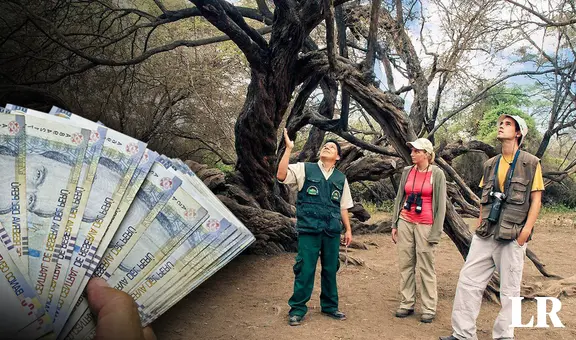 Última fecha de cobro del bono de S/800: ¿cuál es el link para consultar y hasta cuándo se paga?