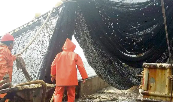 Segunda temporada de pesca: 360.660 toneladas son juveniles