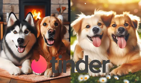 ¿Tinder para perros? Estas son las aplicaciones para conseguirle pareja a tu mascota
