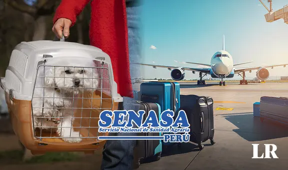 ¿Quieres viajar fuera del país con tu mascota? Conoce los requisitos para hacerlo, según Senasa