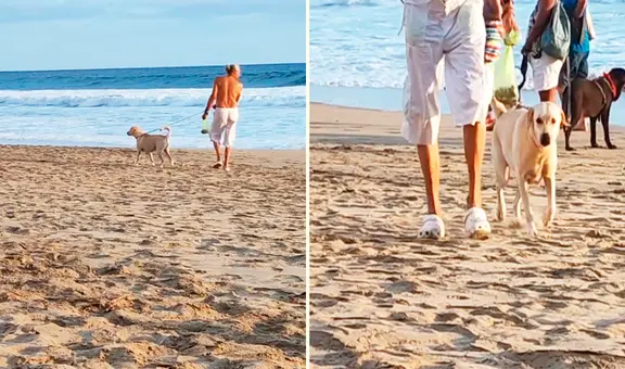 Familia pierde a su perrita y la encuentran paseando con su nuevo dueño en la playa: “Nos ignoró”