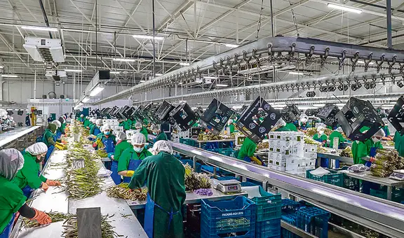 Agroexportadoras aportarán solo 6% a EsSalud desde hoy