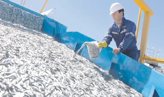 Pesca de anchoveta registra más de 100 áreas cerradas