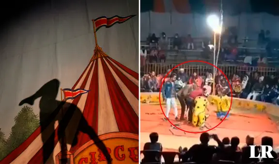 Acróbata sufre accidente con cuerda y muere ahorcada en pleno show de circo frente al público
