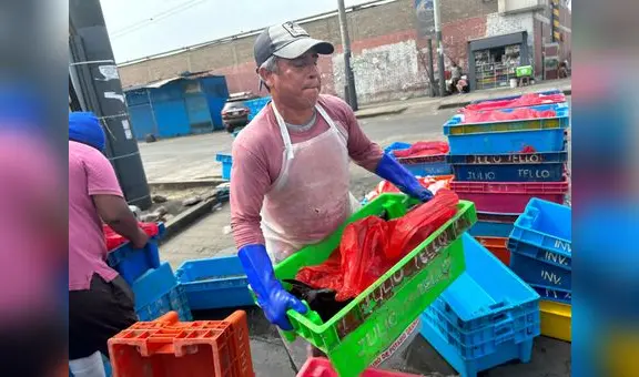 Callao: precios de pescados hasta se quintuplicaron por oleajes anómalos