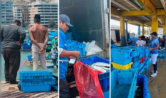 Pescadores y comerciantes de Ancón perderán hasta S/400 por día debido a cierre de playas