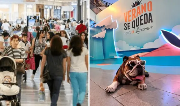 Lista de malls pet friendly en Lima: conoce los centros comerciales que aceptan mascotas