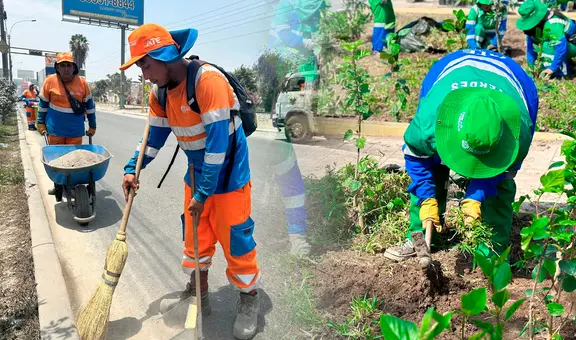 Municipalidad de ATE ofrece más de 130 puestos de trabajo este 2024: ¿cómo postular?