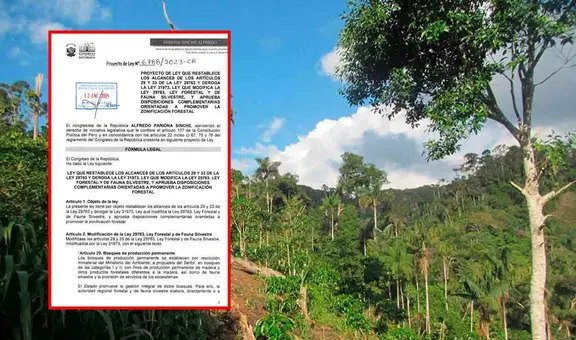 Congresista Alfredo Pariona presenta proyecto para derogar modificaciones a Ley Forestal