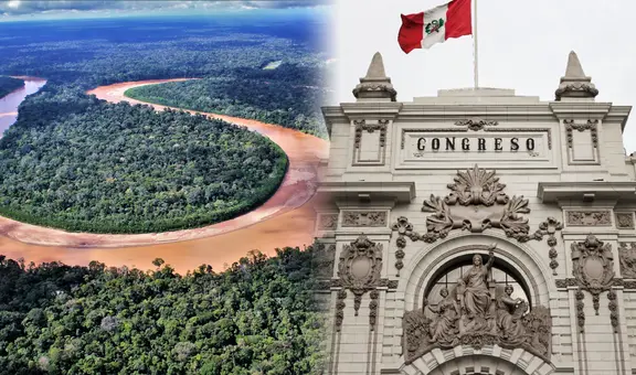 Ley Forestal: ¿de qué trata la norma que el Congreso aprobó y que promueve la deforestación?