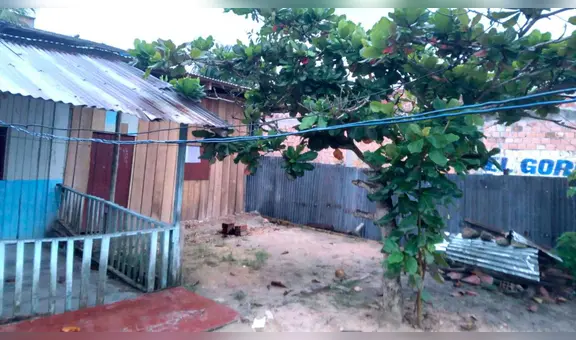 Niño de 7 años perdió la vida tras caer de un árbol de 10 metros de altura en Loreto