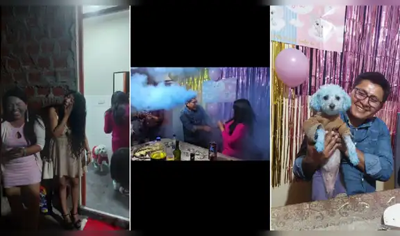 Pareja celebra revelación del sexo de su bebé y todos terminan pintados de azul: “El perro pitufo”