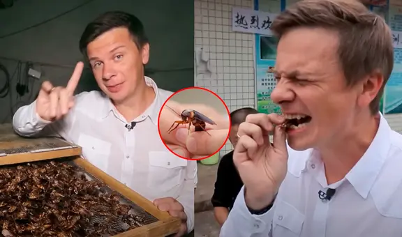 Joven come cucaracha de 70.000 dólares en China y sorprende con su comentario: “Es muy nutritiva”