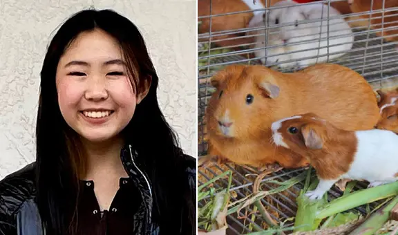 ¿Cómo ganar más de US$400.000 vendiendo jaulas para cuyes? conoce la historia de Bella Lin