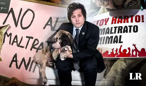 Ley Conan: Gobierno de Milei impulsa proyecto para incrementar penas contra el maltrato animal